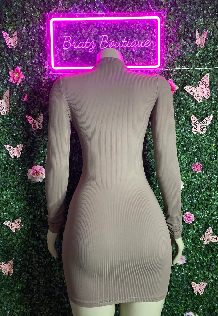 Nude Zip Up Dress (S-L)
