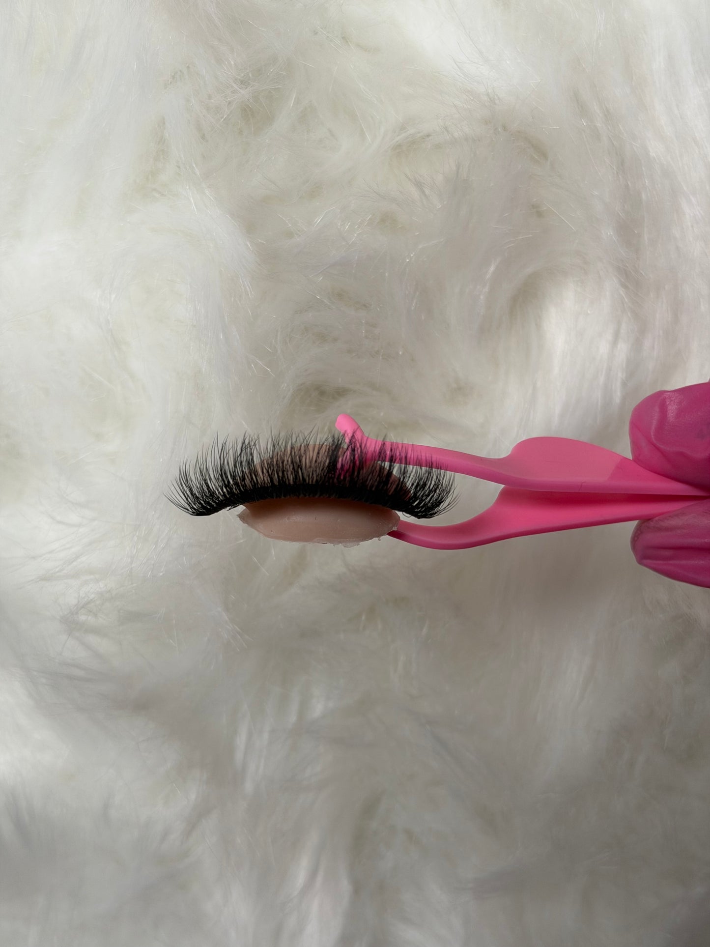 Sarah Lashes
