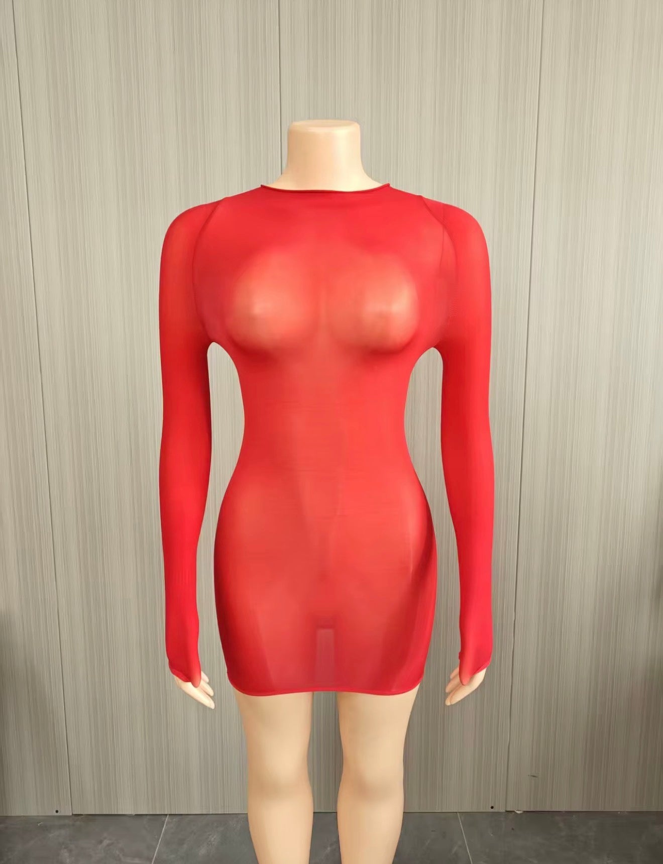 Muse Mesh Long Sleeve Dress (One Size)