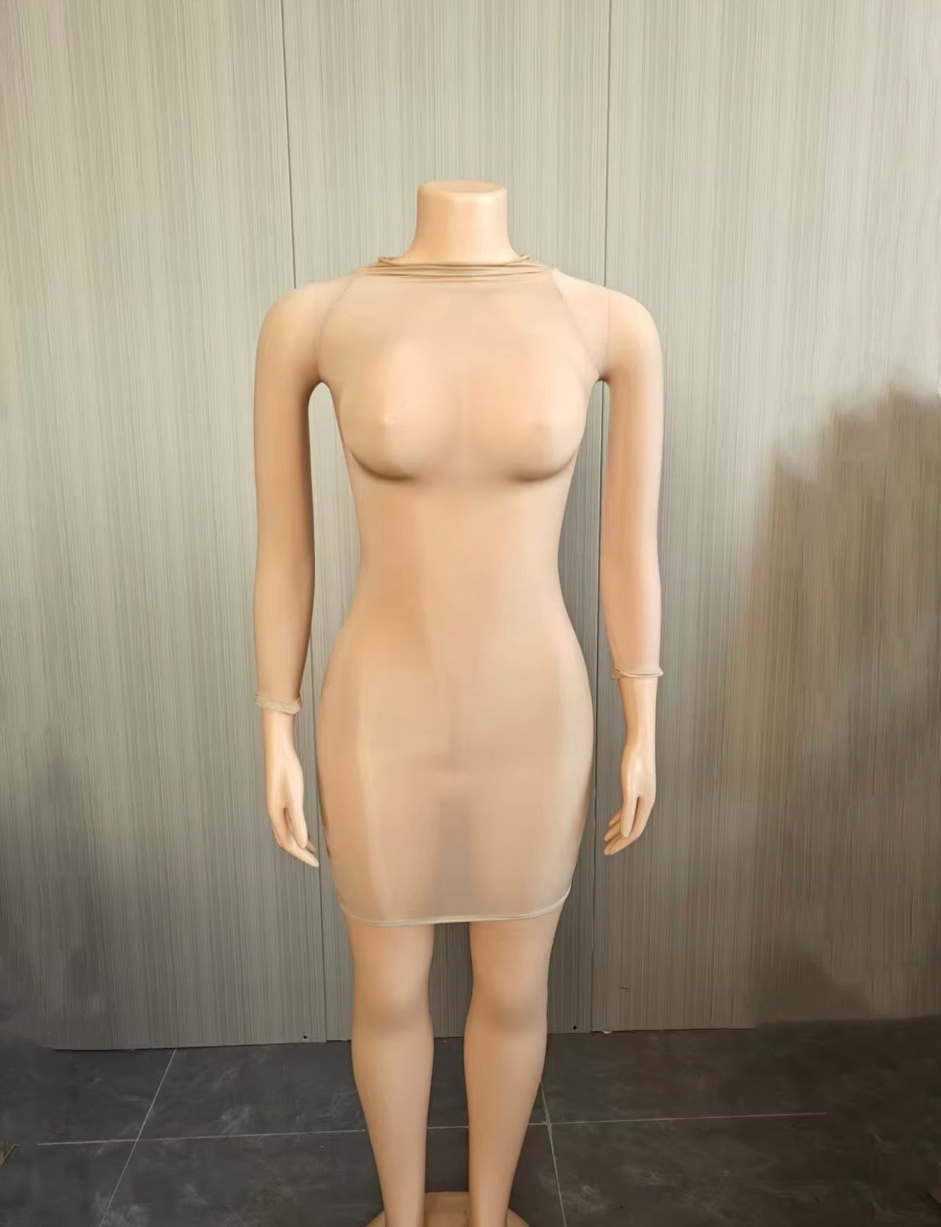 Muse Mesh Long Sleeve Dress (One Size)