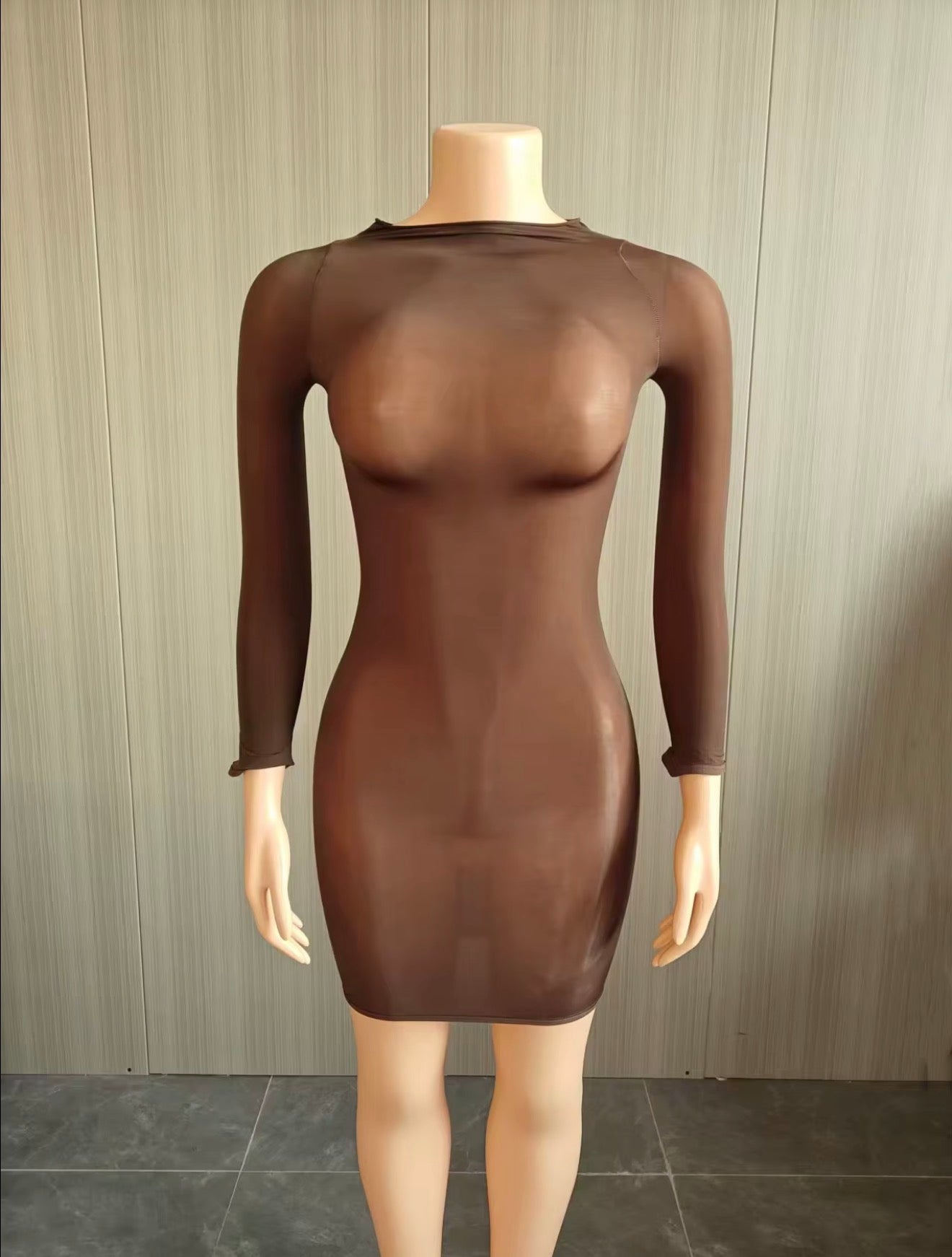 Muse Mesh Long Sleeve Dress (One Size)