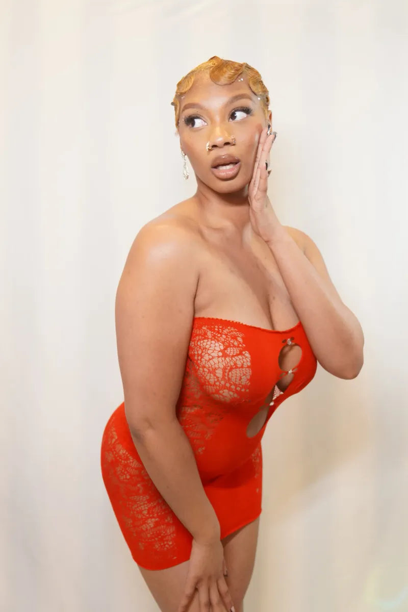 Cherry Red Mesh Dress