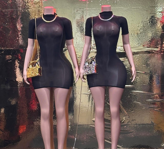 Muse Mesh Short Sleeve Dress (One Size)